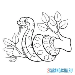 Раскраска змея на ветке дерева