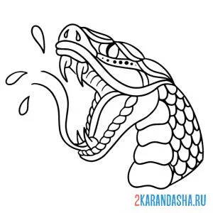 Раскраска опасная гадюка