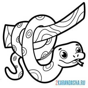 Раскраска удав на ветке