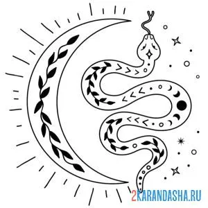 Раскраска змея и луна