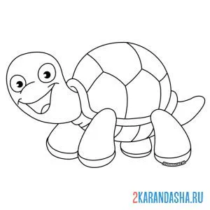 черепашка простая