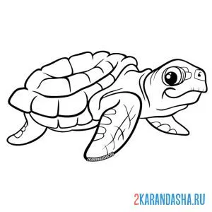 Раскраска взрослая черепаха
