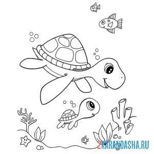 Раскраска мама черепаха и ребенок