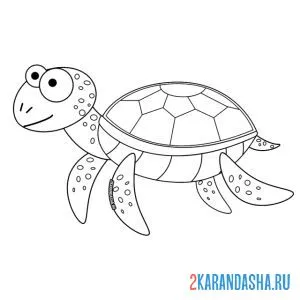 Раскраска забавная черепаха