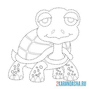 Раскраска обведи черепаху