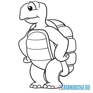 черепаха задумался