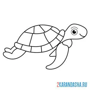 Раскраска рисунок черепахи
