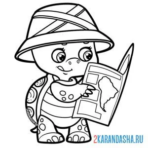 Раскраска черепаха смотрит карту