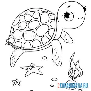 Раскраска черепаха и морские звезды