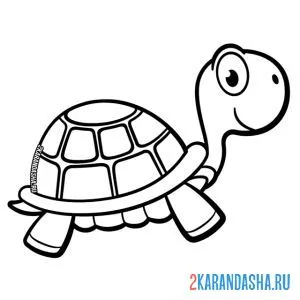 Раскраска черепаха сухопутная