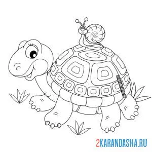 Раскраска черепаха и улитка