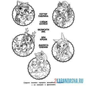 Раскраска кто есть кто? энчантималс