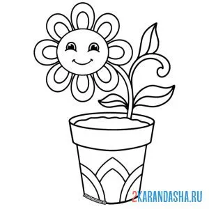 Раскраска ромашка в горшке