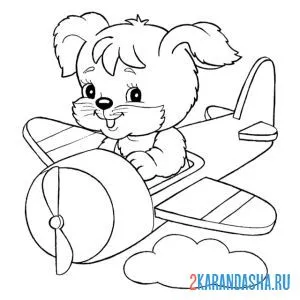 Раскраска собачка на самолете