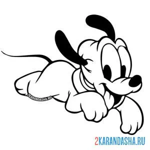Раскраска совсем маленький плуто