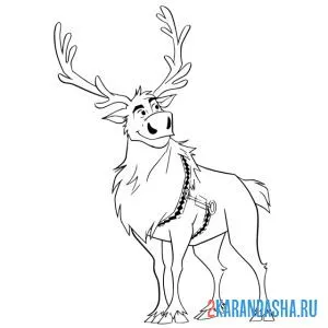 Раскраска олень свен задумался