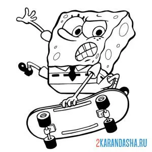 Раскраска спанч боб на скейтборде