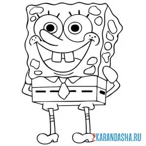 Раскраска спанч боб улыбается