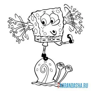 Раскраска спанч боб балансирует на гэри