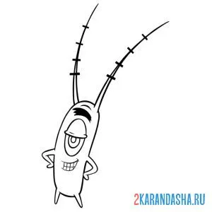 Раскраска планктон хитрый
