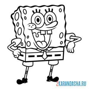 Раскраска спанч боб квадратные штаны