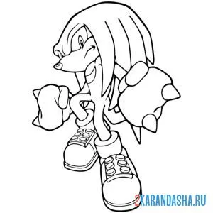 Раскраска ехидна наклз