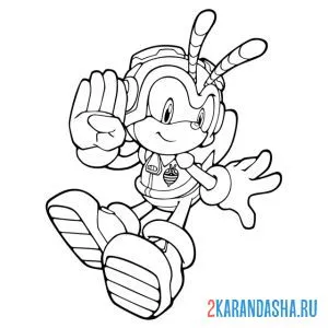 Раскраска пчела чарми