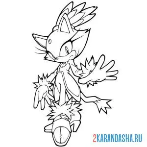 Раскраска кошка блейз