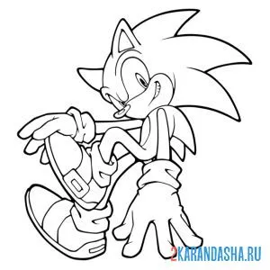 Раскраска соник сидит