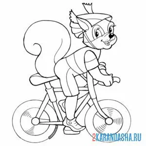 Раскраска белочка на велосипеде