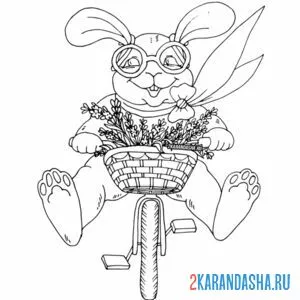 Раскраска заяц на велосипеде с корзинкой