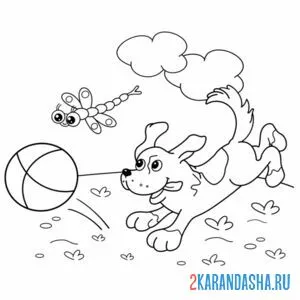 Раскраска собака играет с мячом