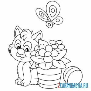 Раскраска котик с мячом