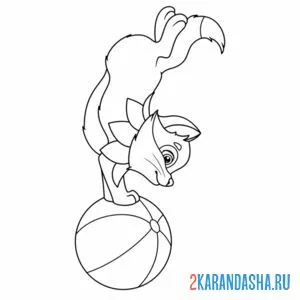 Раскраска котик на мяче