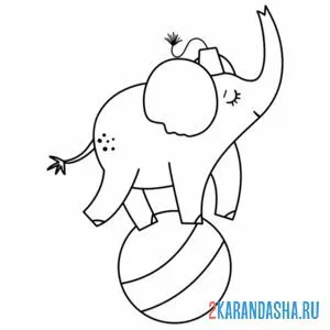 Раскраска слоник на мяче