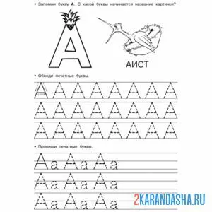Раскраска буква а пропись для малыша