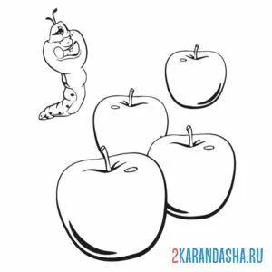 Раскраска дуда и яблоки