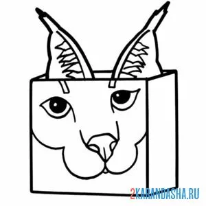 Раскраска флоппа