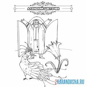 Раскраска сказка аленький цветочек