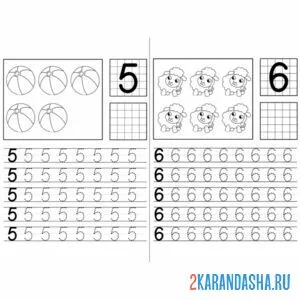 Раскраска прописи цифры 5 и 6