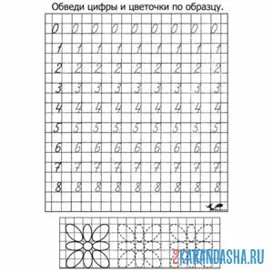 Раскраска прописи цифры 0-8