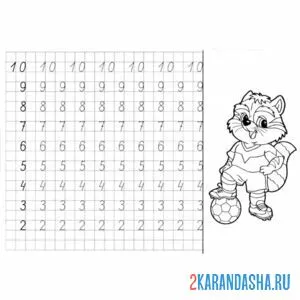 Раскраска прописи от 2 до 10
