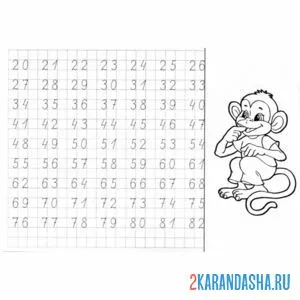 Раскраска прописи числа от 20 до 80