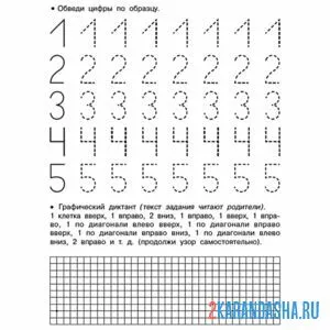 Раскраска задания прописи цифры