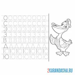 Раскраска пропись буквы разные дошкольник