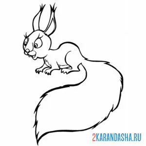 Раскраска белочка что-то увидела