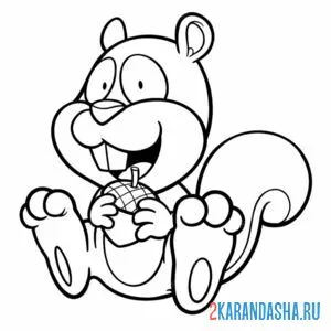 Раскраска смешная белка с орехом