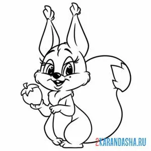 Раскраска белочка с пушистым хвостом