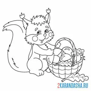 Раскраска белка и лукошко с грибами