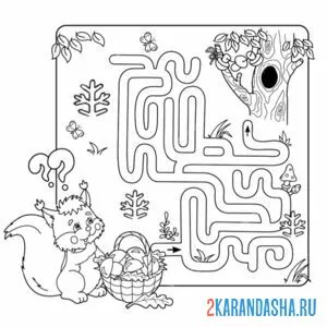 Раскраска лабиринт с белкой